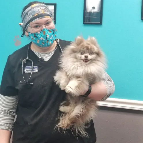 Staff member holding fluffy gray and white dog